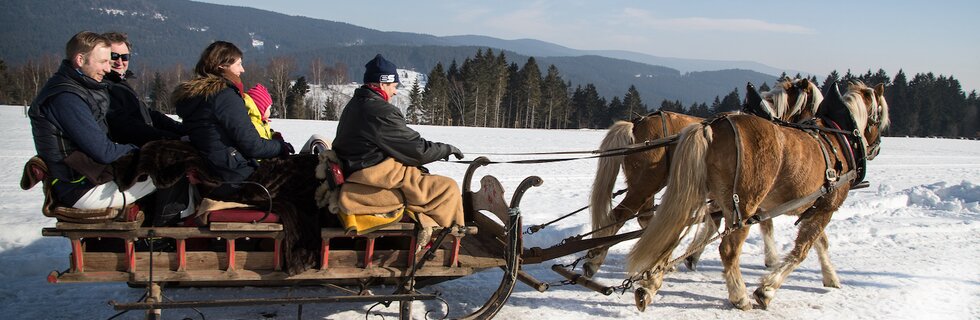 Pferdekutschfahrt im Winter