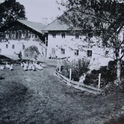 Schwarzweißfoto eines Bauernhofs mit mehreren Gebäuden, Gänsen auf dem Weg und Bäumen