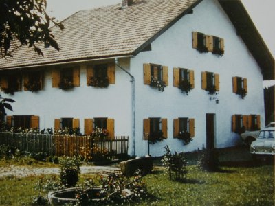 Weißes Haus mit braunen Fensterläden, Blumen in Blumenkästen und Autos rechts im Garten
