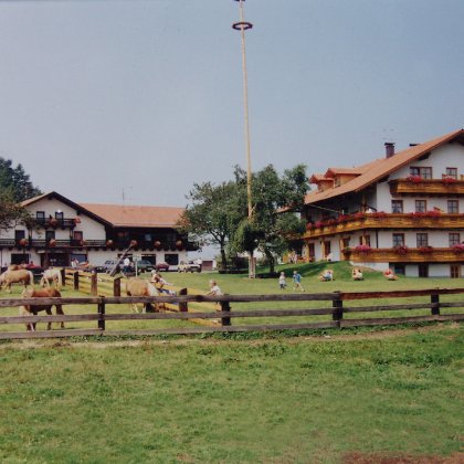 Bauernhof mit Pferden auf der Weide, Kindern und traditionellen Häusern mit Blumenschmuck