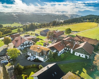 Luftaufnahme eines ländlichen Dorfes mit roten Dächern, grünen Feldern und bewaldeten Hügeln im Hintergrund