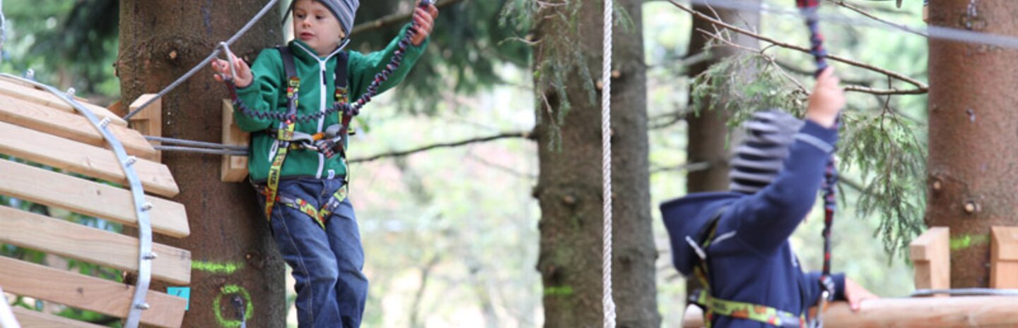 Kinder spielen im Kletterwald