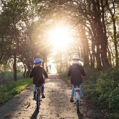 Zwei Kinder fahren mit Helmen auf einem von Bäumen gesäumten Weg in die Sonne