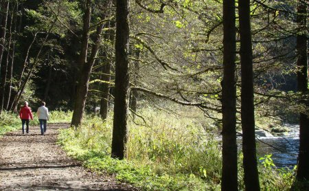 Zwei Personen gehen auf einem Waldweg links, rechts Bäume und ein Fluss im Sonnenlicht