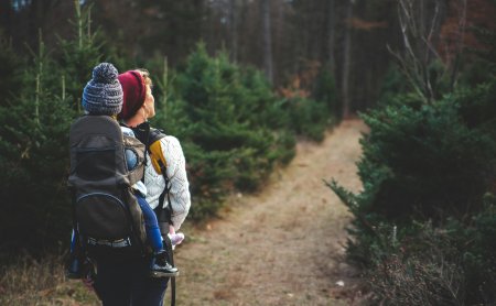 Person mit roter Mütze trägt Kind im Rucksack auf Waldweg zwischen Tannenbäumen