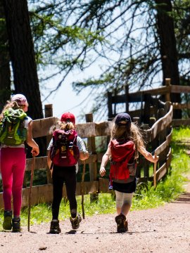 Drei Kinder mit Rucksäcken und Wanderstöcken gehen auf einem Waldweg entlang eines Holzzauns