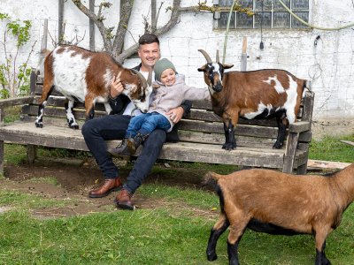 Mann und Kind sitzen auf einer Bank mit zwei Ziegen, eine Ziege steht davor auf der Wiese
