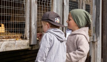Zwei Kinder schauen durch ein Drahtgitter an einem Holzstall