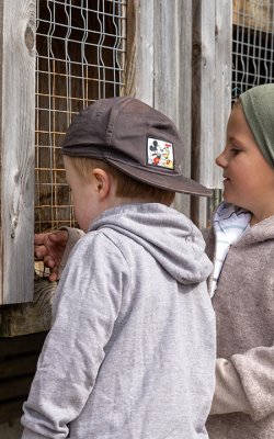 Zwei Kinder schauen durch ein Drahtgitter an einem Holzstall