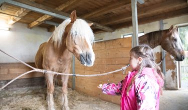 Mädchen im pinken Mantel füttert Pferd mit weißer Mähne in einem Stall