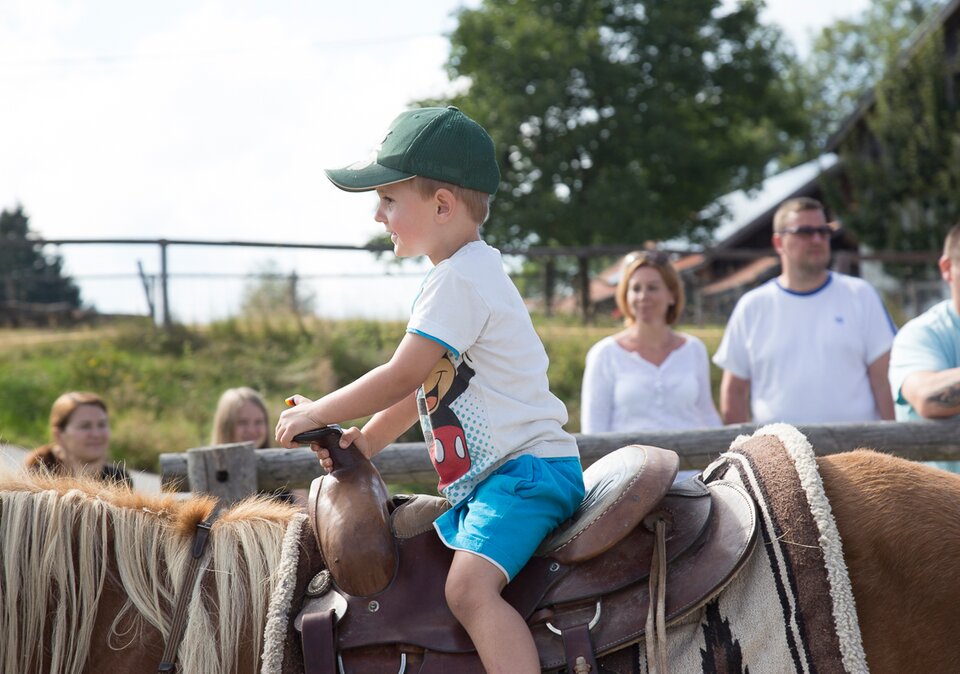 Junge reitet auf Pferd