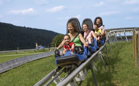 Familie fährt auf einer Sommerrodelbahn auf einer grünen Wiese mit Wald im Hintergrund
