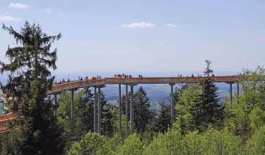 Holzsteg auf hohen Pfeilern über grünen Bäumen mit Menschen und weitem Himmel im Hintergrund