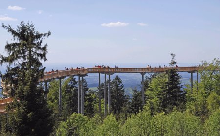 Holzsteg auf hohen Pfeilern über grünen Bäumen mit Menschen und weitem Himmel im Hintergrund