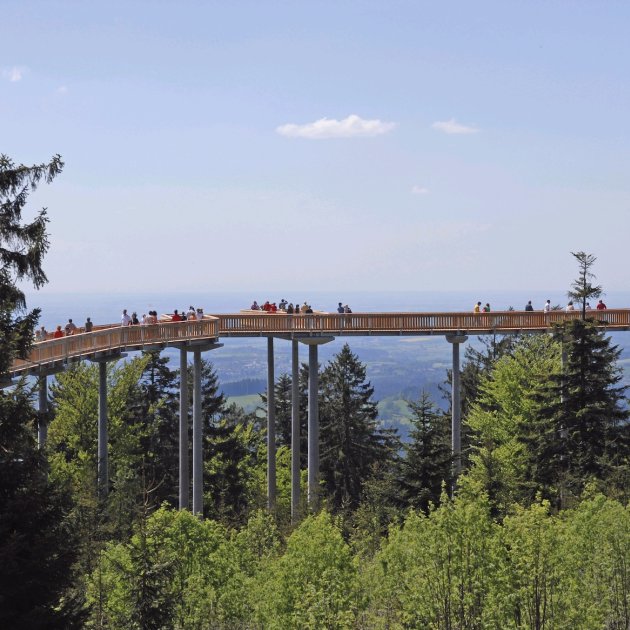 Holzsteg auf hohen Pfeilern über grünen Bäumen mit Menschen und weitem Himmel im Hintergrund