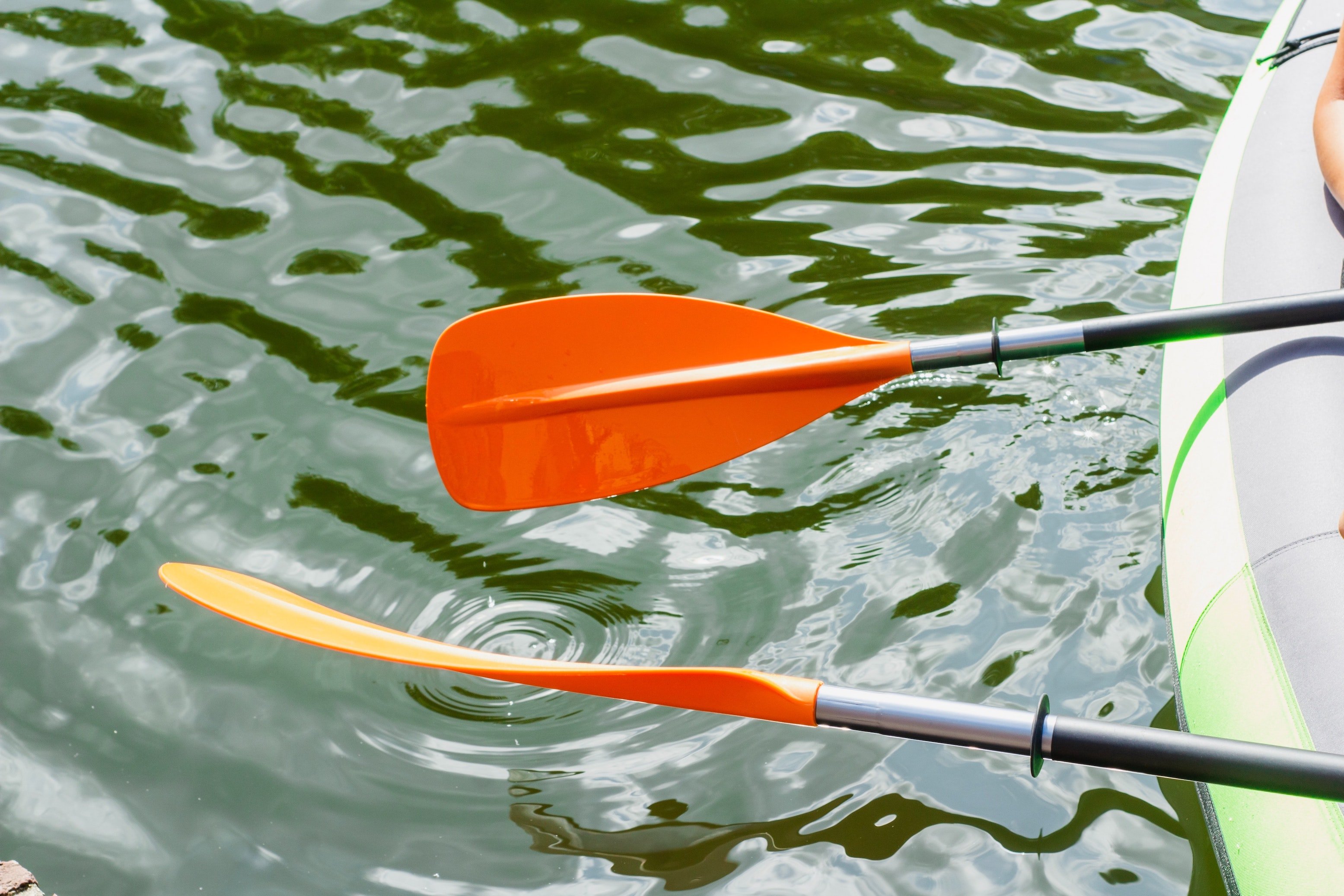 Zwei orangefarbene Paddel, die aus einem Boot ins grüne Wasser ragen