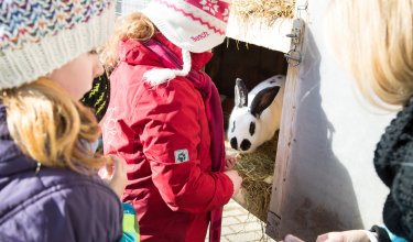 Kinder in Winterkleidung füttern ein schwarz-weißes Kaninchen im Stall mit Heu
