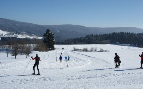 Langläufer auf verschneiter Loipe vor bewaldeten Hügeln unter klarem blauem Himmel