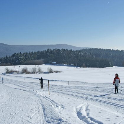 Winterlandschaft mit Langläufern auf verschneiter Loipe vor bewaldeten Hügeln unter blauem Himmel