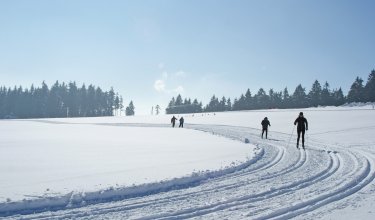 Langläufer auf verschneiter Spur vor Wald unter klarem Himmel