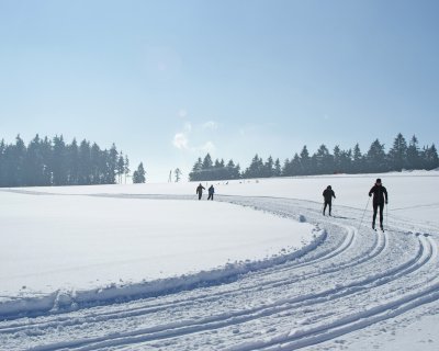 Langläufer auf verschneiter Spur vor Wald unter klarem Himmel