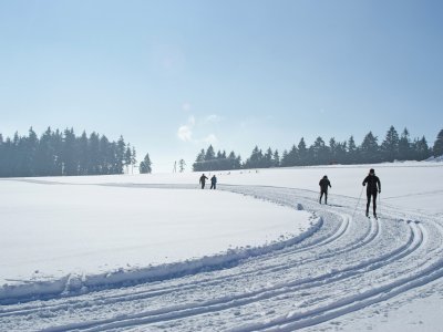 Langläufer auf verschneiter Spur vor Wald unter klarem Himmel