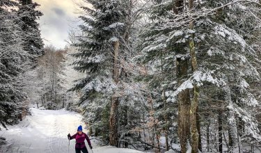 Person beim Langlaufen auf verschneitem Waldweg mit schneebedeckten Bäumen im Hintergrund