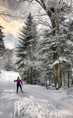Person beim Langlaufen auf verschneitem Waldweg mit schneebedeckten Bäumen im Hintergrund