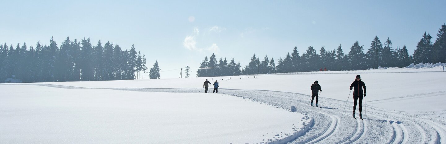 Langlaufen in zauberhafter Winterlandschaft