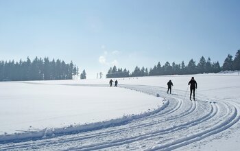 Langlaufen in zauberhafter Winterlandschaft