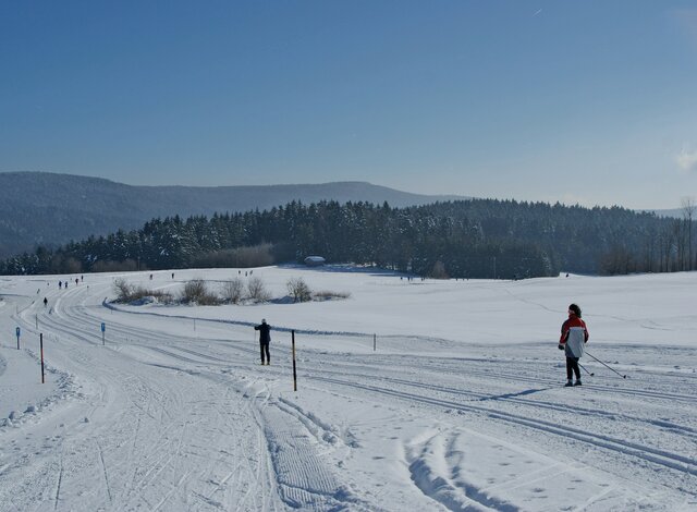 Langlaufen in zauberhafter Winterlandschaft