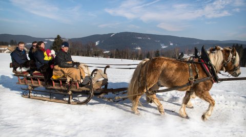 Pferdeschlitten mit Menschen fährt auf schneebedecktem Feld vor bewaldeten Hügeln unter blauem Himmel