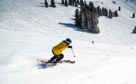 Skifahrer in gelber Jacke fährt den schneebedeckten Hang mit Tannen im Hintergrund hinunter