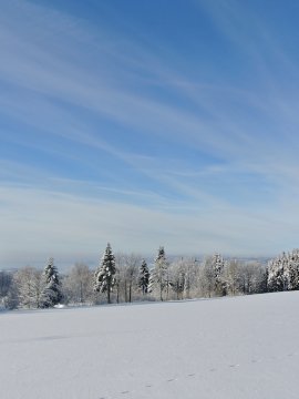 Schneebedeckte Landschaft mit Bäumen am linken und rechten Rand unter blauem Himmel