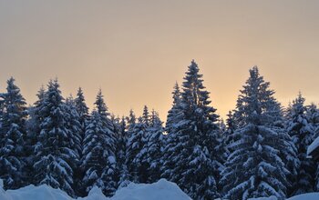 Winterlandschaft