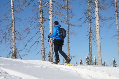 Schneeschuhwanderung durch den Wald