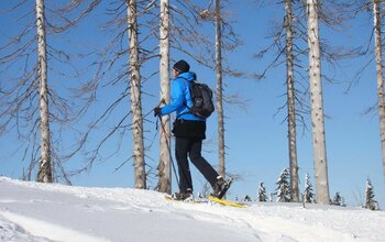 Schneeschuhwandern im Wald