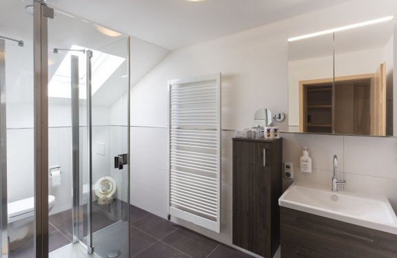 Modernes Badezimmer mit Glasdusche links, Handtuchheizung in der Mitte und Waschbecken mit Spiegel rechts